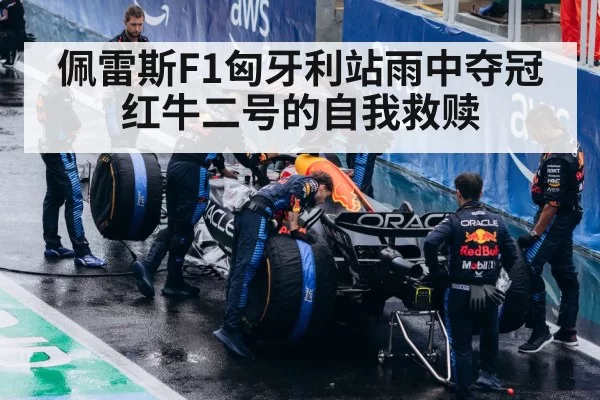 佩雷斯F1匈牙利站雨中夺冠 红牛二号的自我救赎